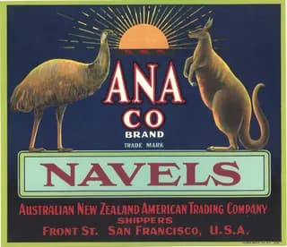 ANA CO, citrus crate label, navels, San Francisco, U.S.A., 1910-1920