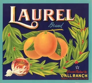 Laurel, citrus crate label, oranges, Corona Riverside Co. Calif., 1920-1930