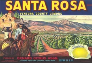 Santa Rosa, citrus crate label, lemons, Ventura County, 1927