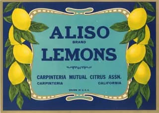 Aliso, citrus crate label, lemons, Carpinteria, California, 1920-1930