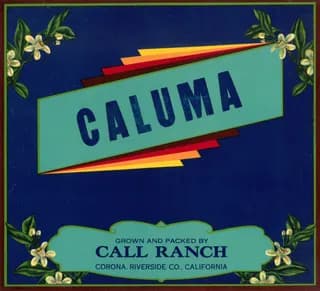 Caluma, citrus crate label, Corona, Riverside Co., California, 1920-1930