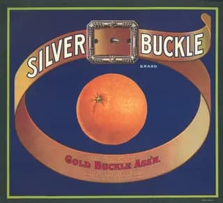 Silver Buckle, citrus crate label, orange, East Highlands, San Bernardino Co., California, 1920-1930