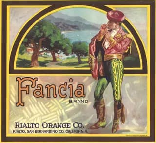 Fancia, citrus crate label, Rialto, San Bernardino Co. California, approximately 1907