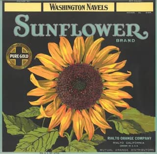 Sunflower, citrus crate label, washington navels, Rialto, California, 1920-1930