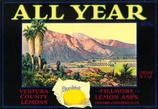 All Year, citrus crate label, lemons, Ventura County, 1890-1900