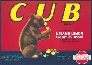 Cub, citrus crate label, lemon, Upland, Calif. San Bernardino Co., 1925