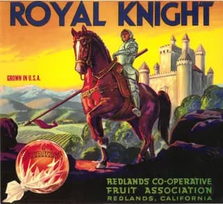 Royal Knight, citrus crate label, navel orange, Redlands, California, 1900-1910