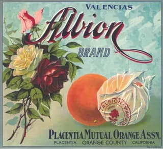 Albion, citrus crate label, valencias, Placentia, Orange County, California, 1935