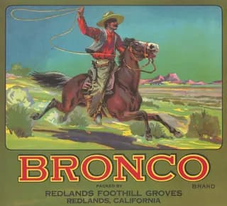 Bronco, citrus crate label, Redlands, California, 1910-1920