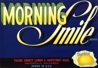 Morning Smile, citrus crate label, lemon & grapefruit, Porterville, California, ©1919