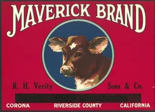 Maverick Brand, citrus crate label, Corona, Riverside County, California, 1930-1940
