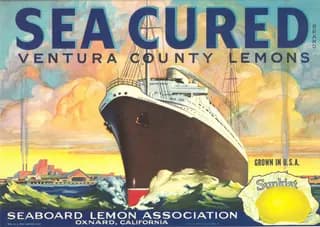Sea Cured, citrus crate label, lemons, Ventura County, 1900
