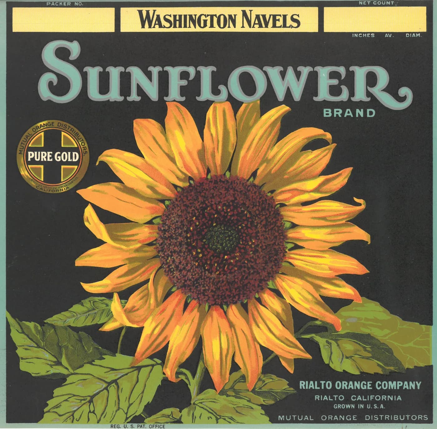 Sunflower, citrus crate label, washington navels, Rialto, California, 1920-1930