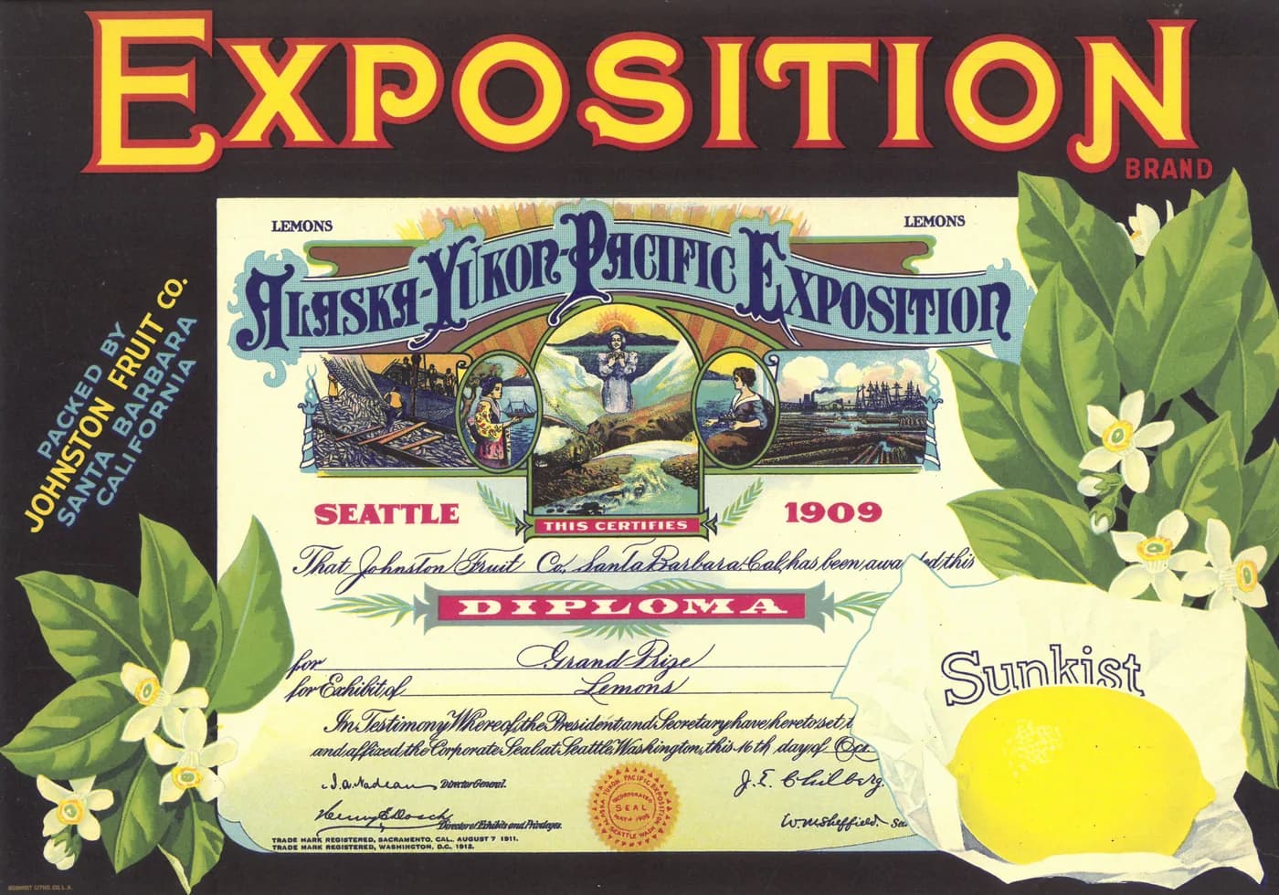 Exposition, citrus crate label, lemons, Santa Barbara, California, 1930-1940